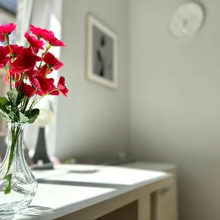 Accommodatie bij particulieren Mmrent Shadow